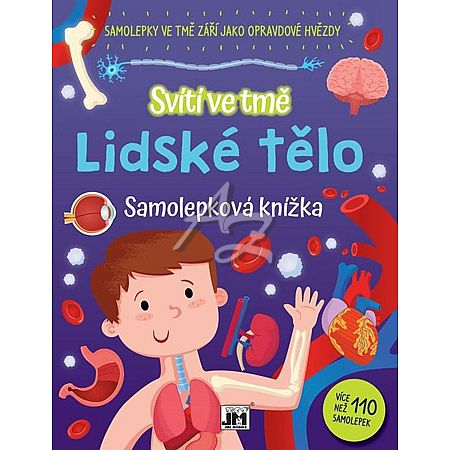 samolepková knížka, Svítí ve tmě, Lidské tělo