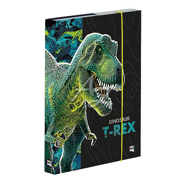 box na sešity A4 Premium Dinosaurus