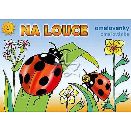 omalovánky A5 MFP Na louce