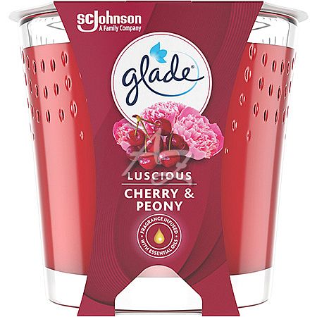 svíčka GLADE 170g - více variant