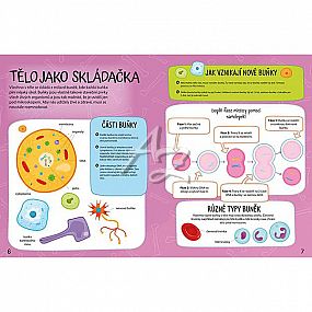 samolepková knížka, Svítí ve tmě, Lidské tělo